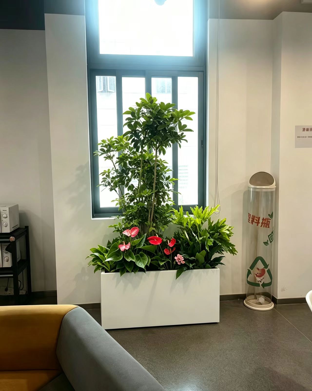 办公区绿植租摆养护现场