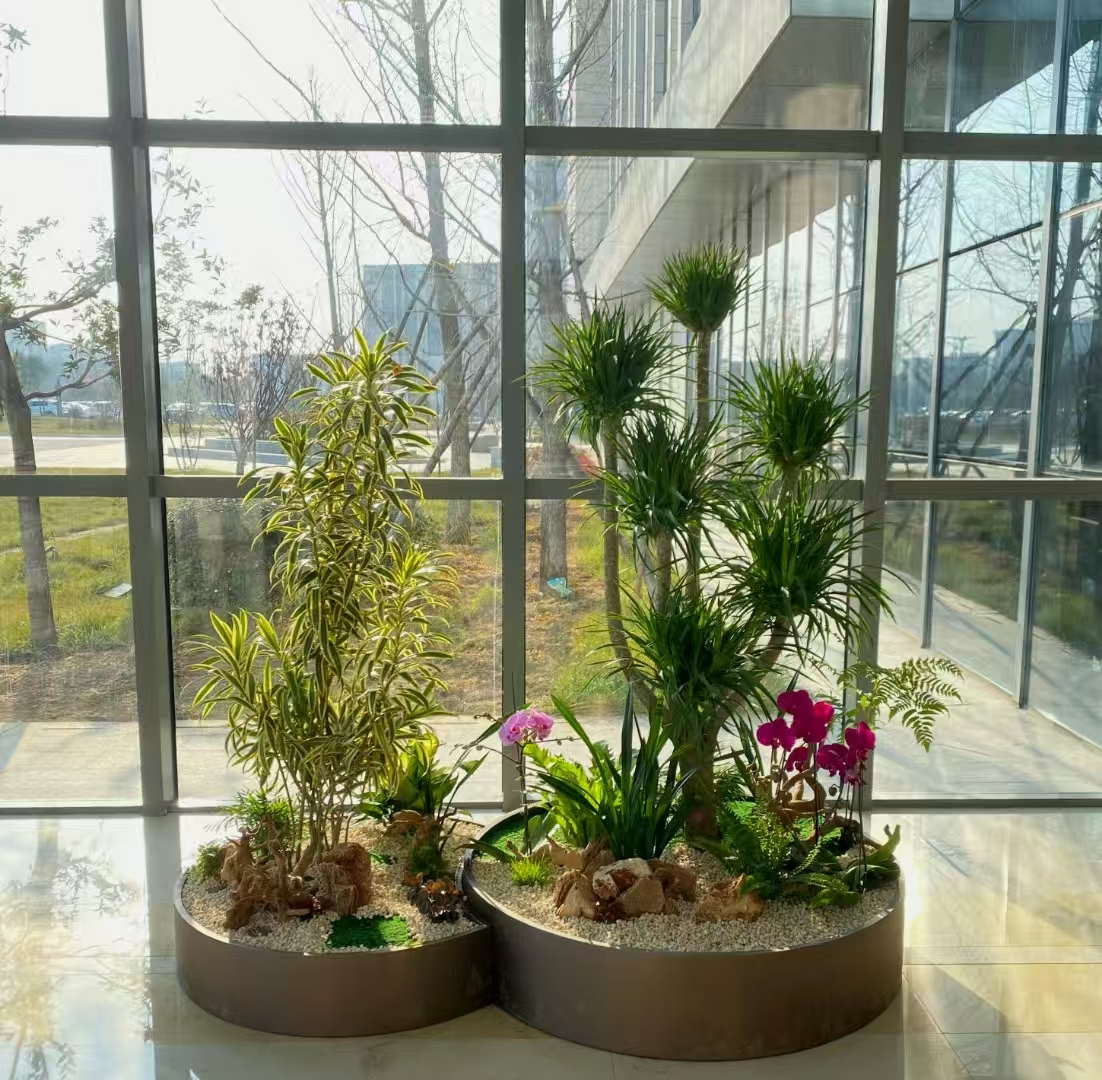 商业空间绿植造景一角